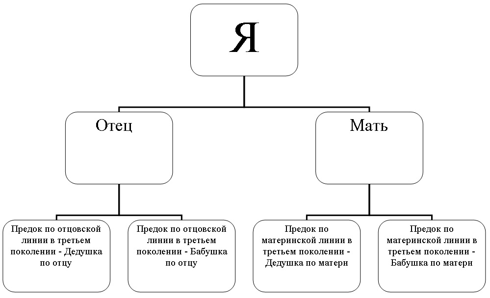 Схема родового дерева шаблон до 7 колена