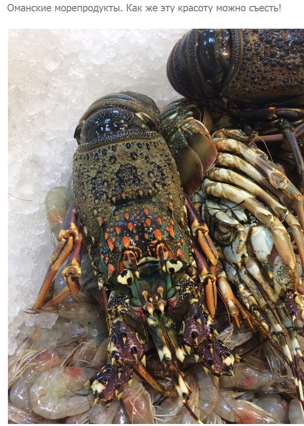 Смешные комментарии и высказывания из социальных сетей высказывания, комментарии, прикол