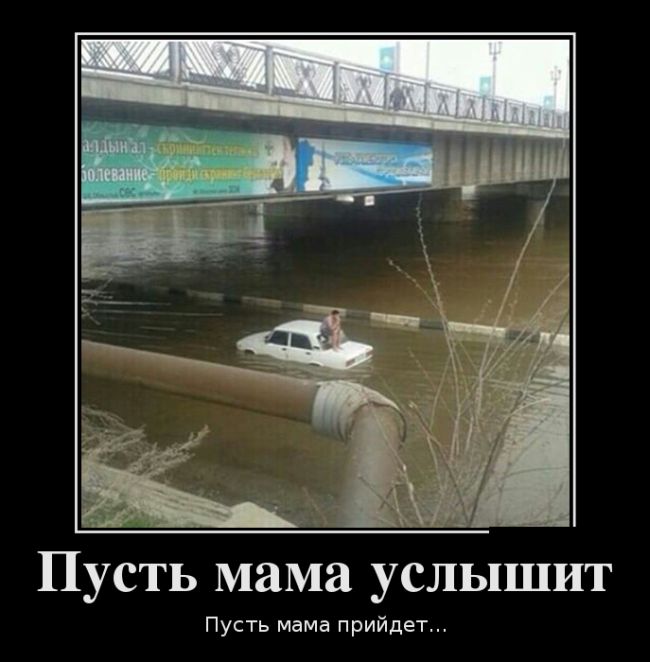 Порция демотиваторов на любой вкус 