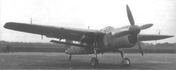 barracuda-2.jpg
