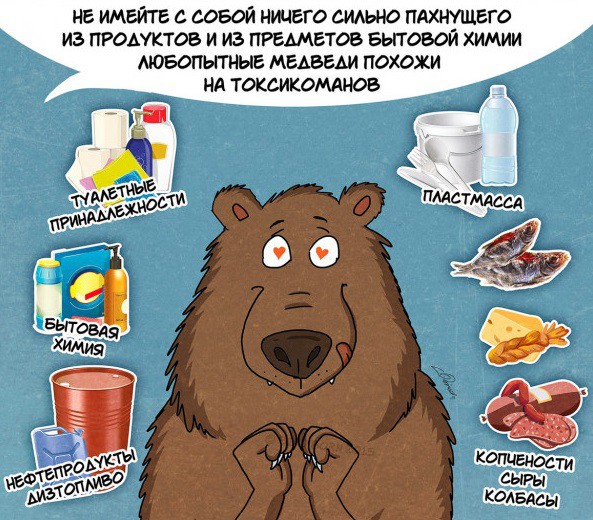 10 фактов, которые вам нужно знать о медведях 10 фактов, которые вам нужно знать о медведях