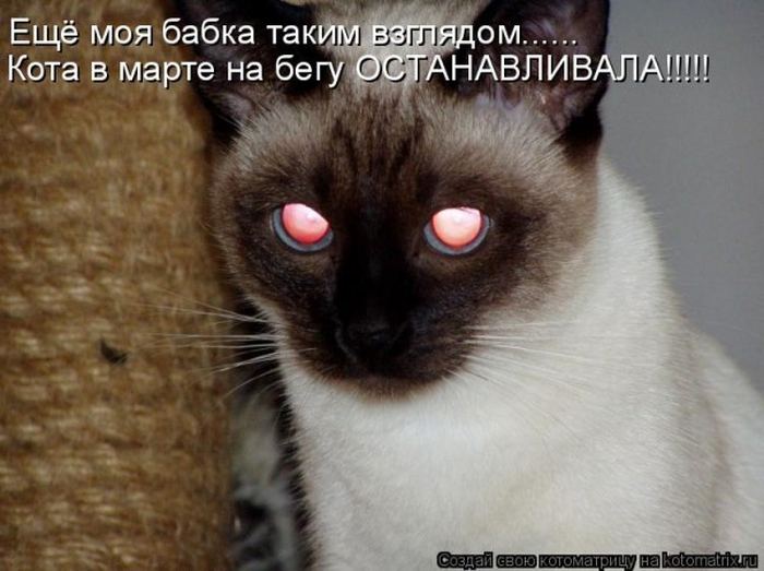 Мысли вслух :)