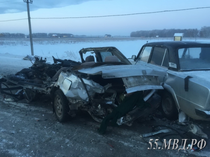 В ДТП под Омском скончался водитель Honda и его собака