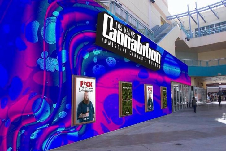 Необычные музеи Лас-Вегаса Необычные музеи Лас-Вегаса