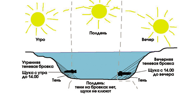 Свет, тень и клёв хищника