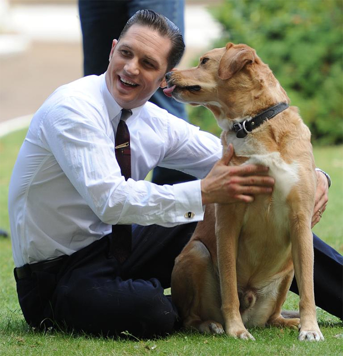 Love-for-dogs-tom-hardy