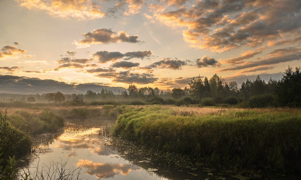 Земля так несравненно хороша! Земля так несравненно хороша! природа