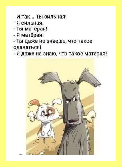 Увлекательные шутки и зажигательные анекдоты в картинках для хорошего настроения Увлекательные шутки и зажигательные анекдоты в картинках для хорошего настроения