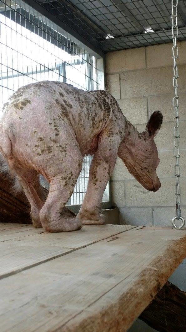 Люди даже не поняли, кого спасли