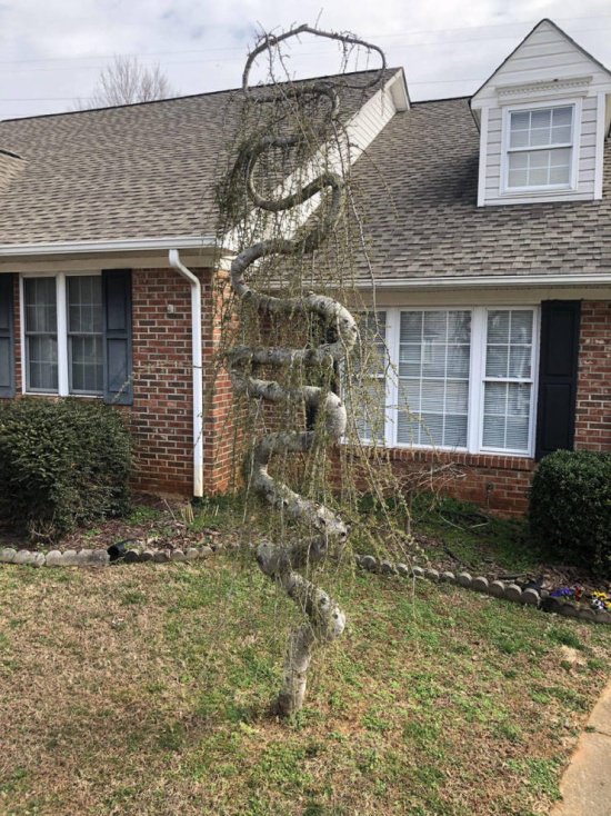 Фотоподборка пятницы Фотоподборка пятницы