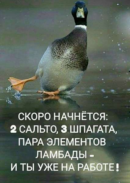 Не так страшен торт, как количество свечек анекдоты,веселые картинки,Истории из жизни,приколы,юмор