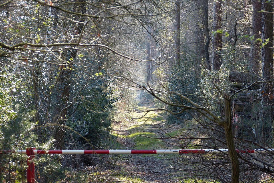 Двое мирных жителей получили ранения во время перестрелки на киргизско-таджикской границе