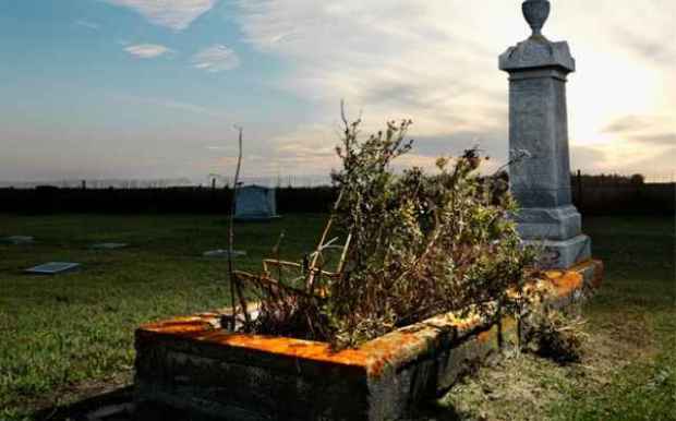 Memorial in rural cemetary with plants.