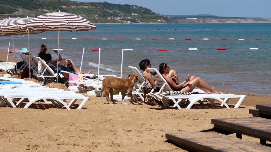 Попова перечислила правила пляжного отдыха