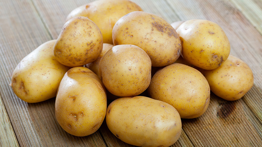 Как сажать ранний картофель?