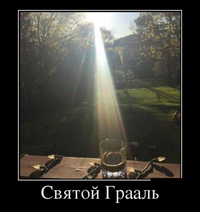 Порция демотиваторов на любой вкус 