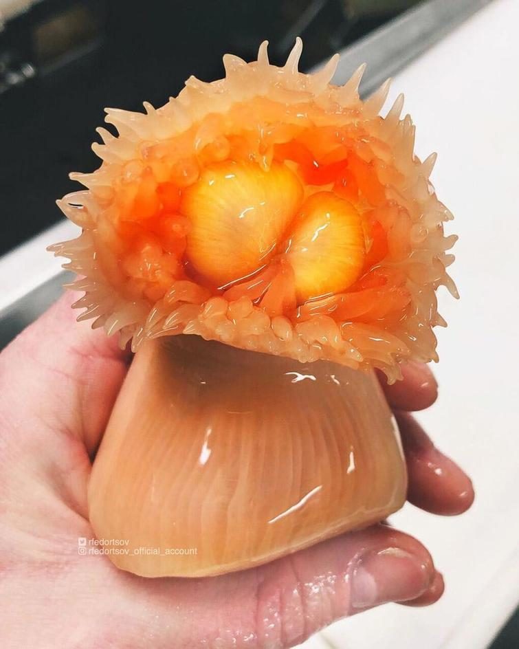 25 снимков, которые надо увидеть хотя бы раз в жизни природа