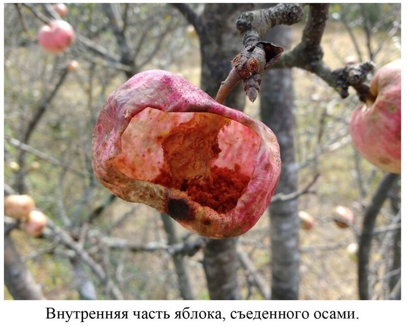 Вы видели всё в жизни? 