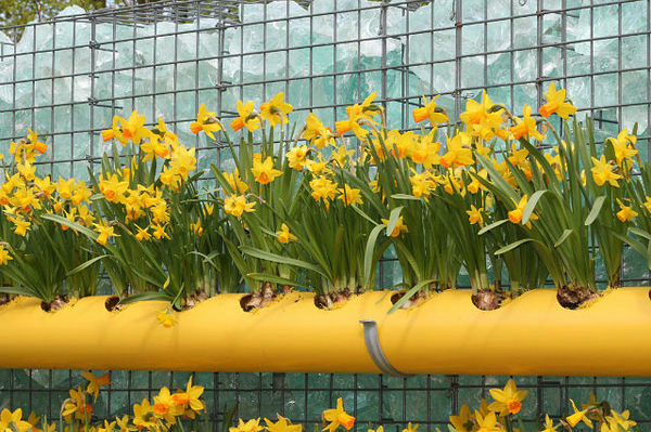 Для сада и дачи Для сада и дачи самоделкин