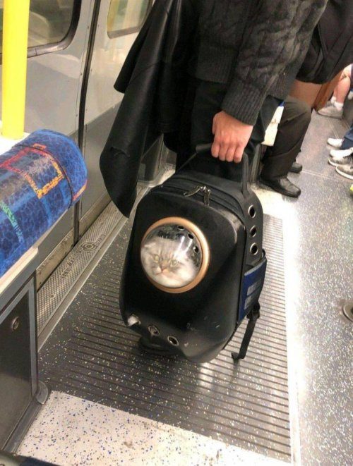 Новые фоприколы дня 