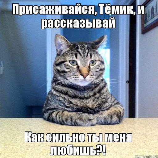 Увлекательные шутки и зажигательные анекдоты в картинках для хорошего настроения Увлекательные шутки и зажигательные анекдоты в картинках для хорошего настроения