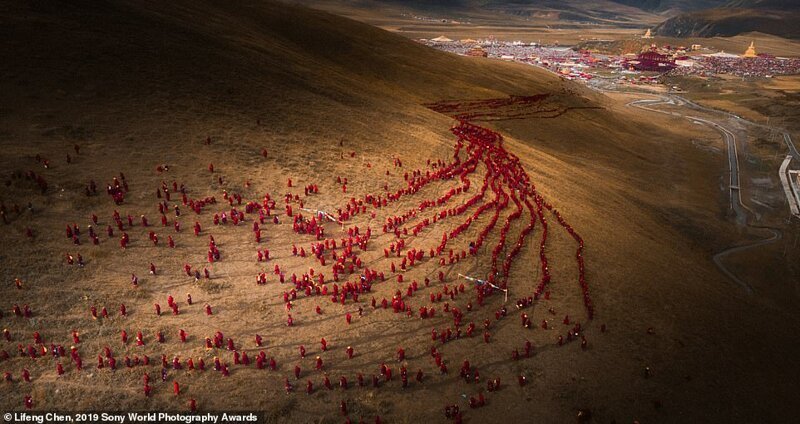 Финалисты Открытого конкурса Sony World Photography Awards 2019 фотография