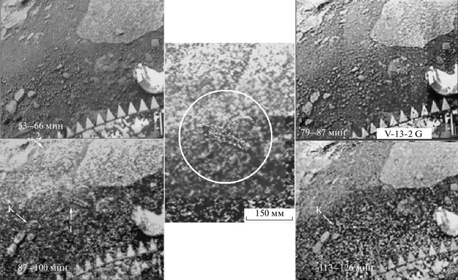 ​Объект «скорпион» (1) появился на панораме, снимавшейся с 87 по 100 мин. На изображениях, полученных до 87 и после 113 мин, объект отсутствует. Малоконтрастный объект (2), вместе с клочковатой светлой средой, также присутствует только на панораме 87-100 мин. На кадрах 87-100 и 113-126 мин, слева, в группе камней появился новый объект К с изменяющейся формой. Его нет на кадрах 53-66 и 79-87 мин. В центральной части рисунка показан результат обработки изображения и размеры «скорпиона». Иллюстрация к статье Л. Ксанфомалити «Венера как естественная лаборатория для поиска жизни в условиях высоких температур: о событиях на планете 1 марта 1982 г.» (2012) - Новые карты ада | Warspot.ru