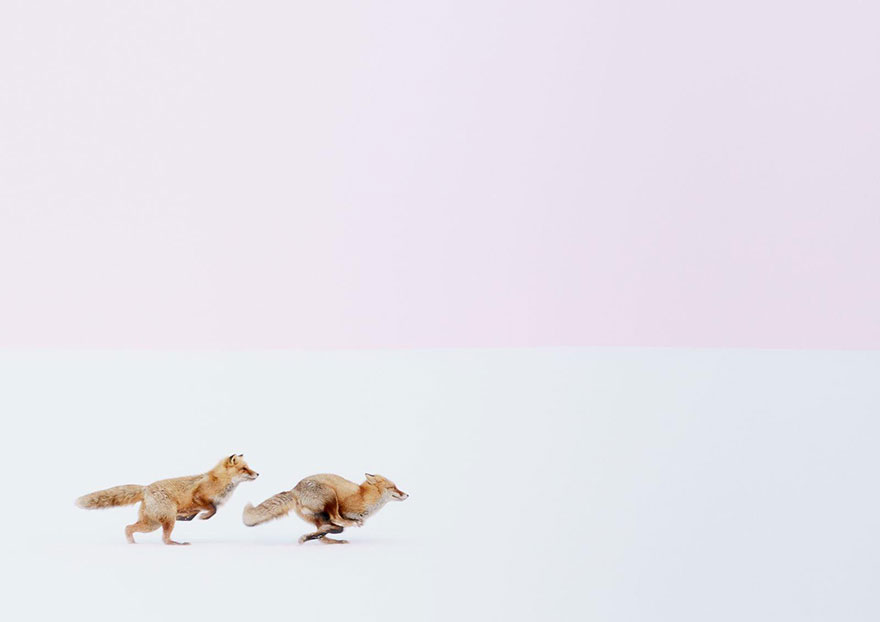 лучшие фото из путешествий конкурса National Geographic 2016 