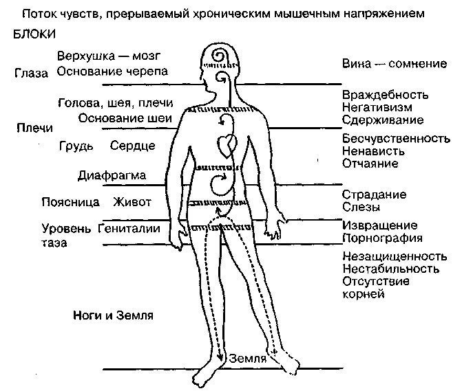 Карта эмоций в теле человека