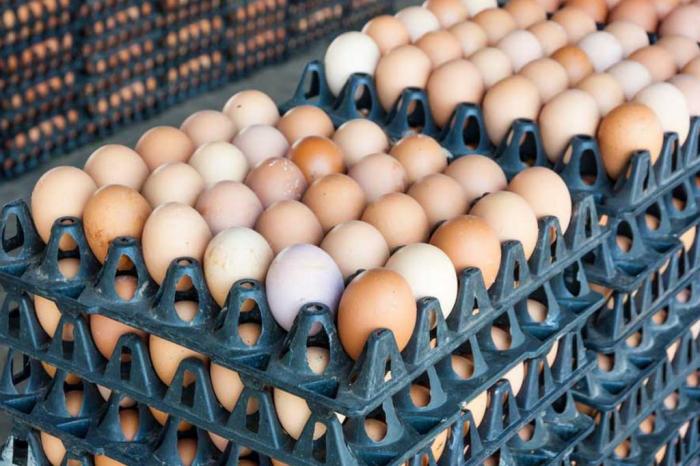 Сколько куриные яйца хранятся в холодильнике