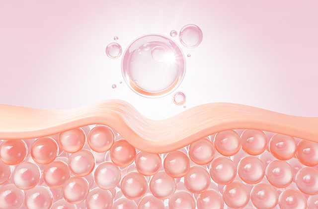 Самый большой орган человека