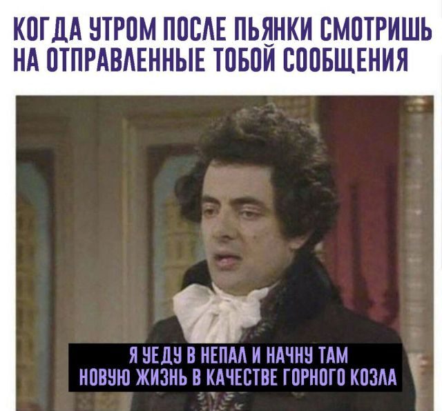 Прикольные картинки и фотки