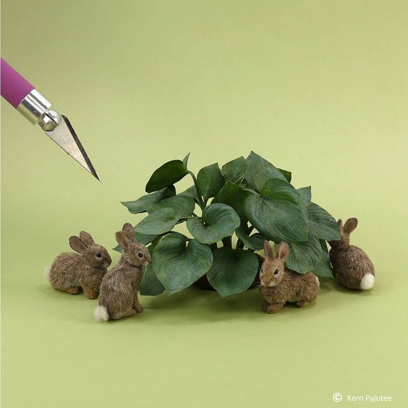 Как живые: Невероятные миниатюрные скульптуры Керри Паюти