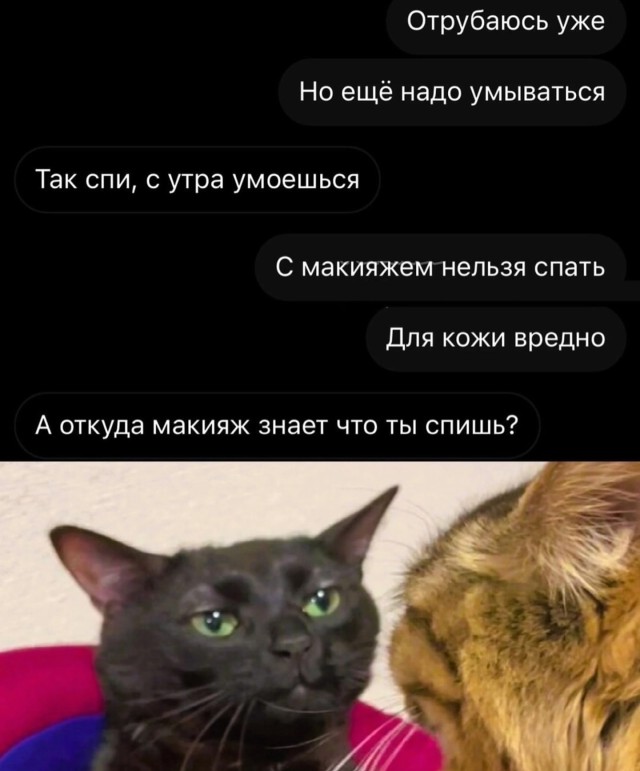 Прикольные комментарии из соцсетей: «Всё было вроде нормально…» Прикольные комментарии из соцсетей: «Всё было вроде нормально…»