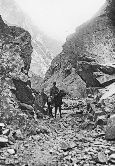 Советские пограничники не только ловили нарушителей границы, но и "снежного человека" история