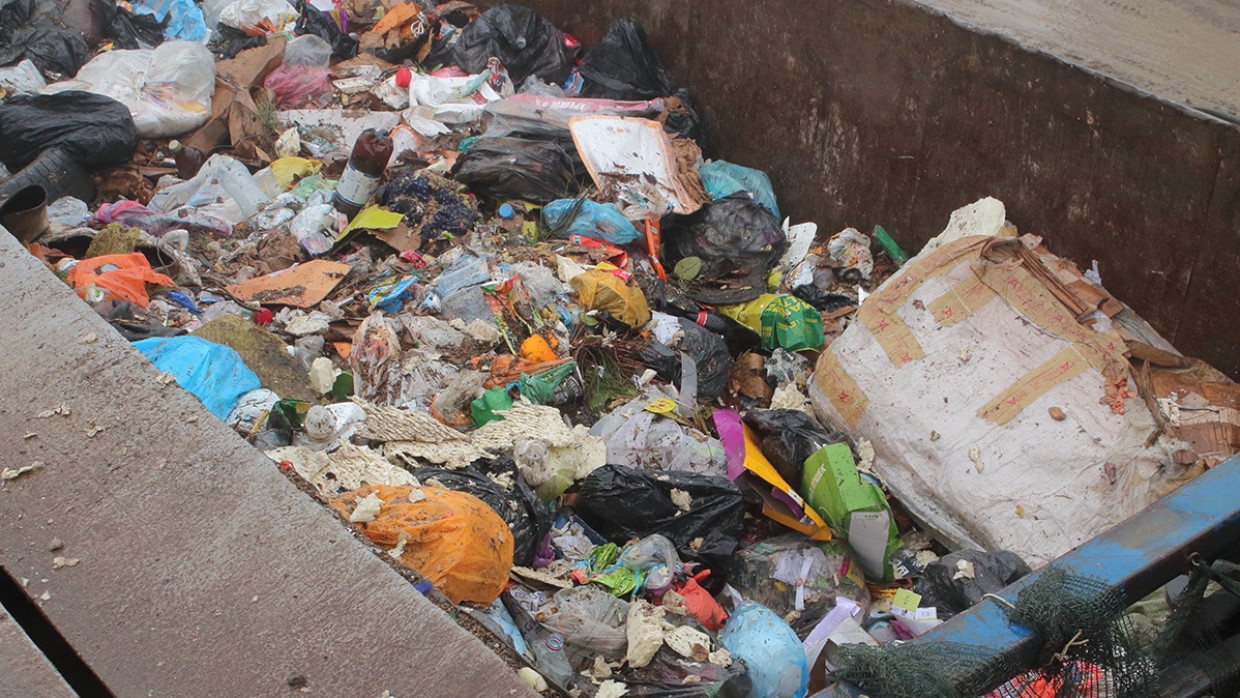 Автолюбителя наказали мусором за парковку на пешеходной зоне в Мурманске