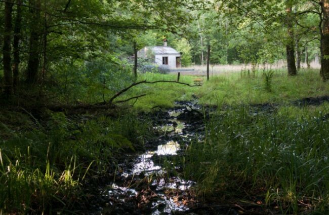 Красная зона во Франции