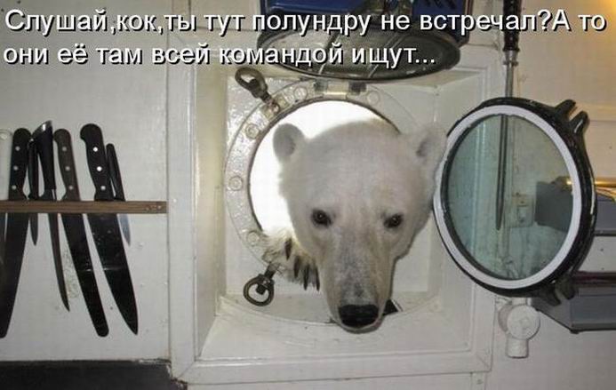 Мысли вслух :)