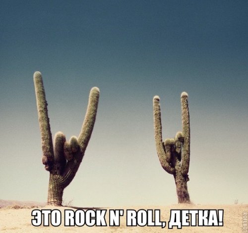 Прикольные фотомемы (28 шт)