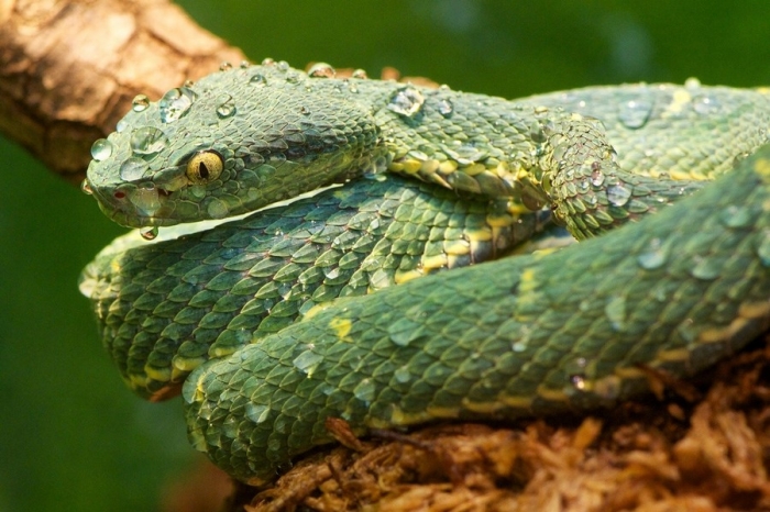 Фотоподборка 