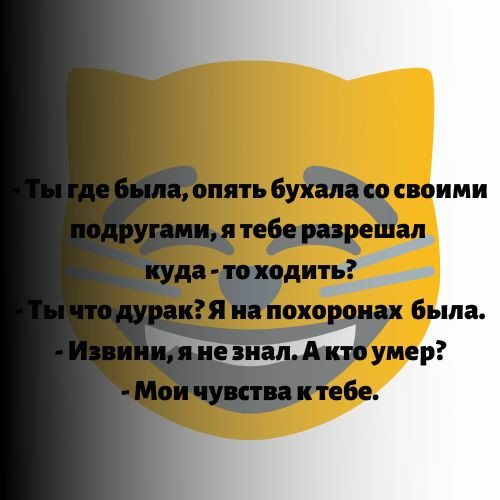 Увлекательные шутки и зажигательные анекдоты в картинках для хорошего настроения Увлекательные шутки и зажигательные анекдоты в картинках для хорошего настроения