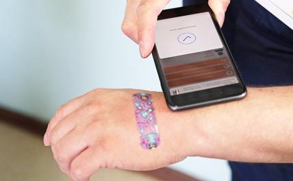 Сегодня QR-код — завтра поголовное чипирование