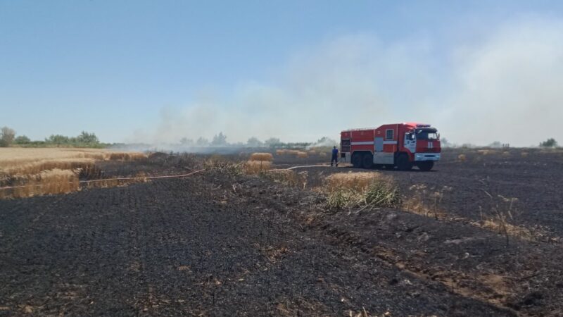 В Нижнегорском районе Крыма загорелось пшеничное поле