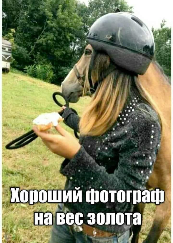 Увлекательные шутки и зажигательные анекдоты в картинках для хорошего настроения Увлекательные шутки и зажигательные анекдоты в картинках для хорошего настроения