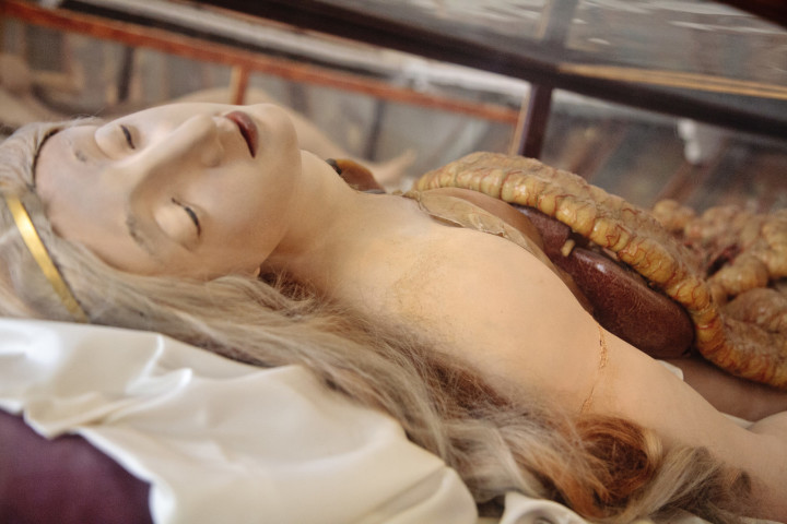 Анатомическая Венера: на ком учились патологоанатомы XVIII века 18+,анатомия,здоровье,история,медицина,наука,строение человека