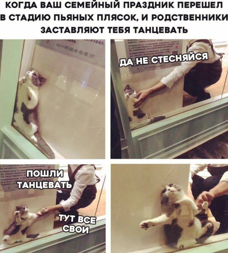 Немного мемов и смешных картинок 