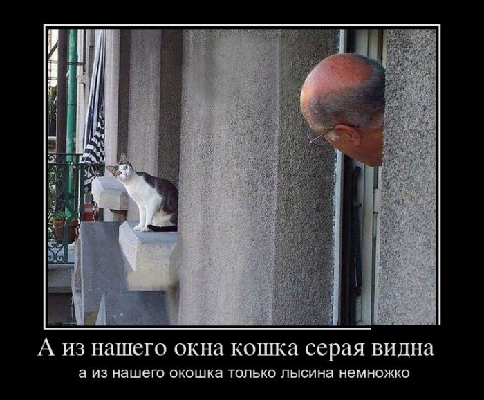 Порция демотиваторов на любой вкус 