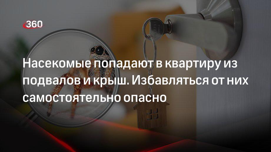 Дезинфектолог Николай Дубинин объяснил, откуда в квартирах появляются насекомые