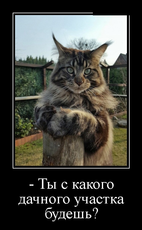 Самые новые демотиваторы Самые новые демотиваторы демотиваторы