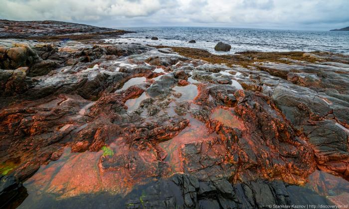 Суровое северное побережье Баренцева моря (16 фото)